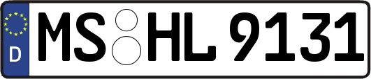 MS-HL9131