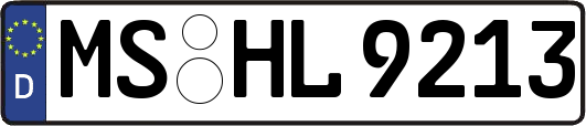 MS-HL9213