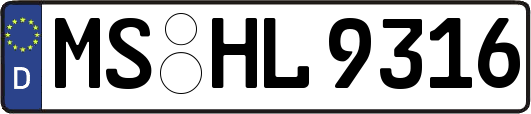MS-HL9316