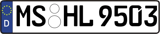MS-HL9503