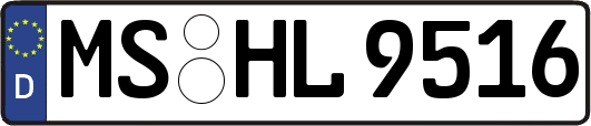 MS-HL9516