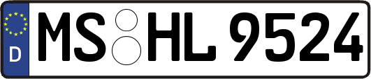 MS-HL9524