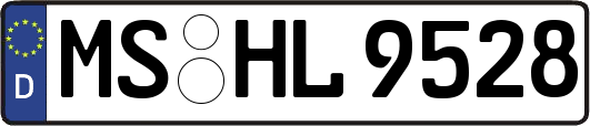MS-HL9528