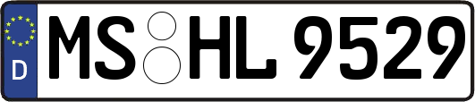 MS-HL9529