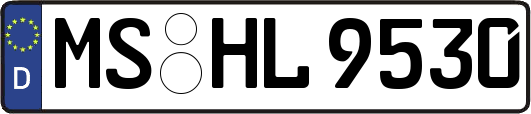 MS-HL9530