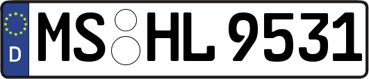 MS-HL9531