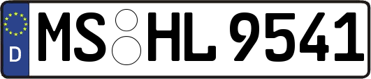 MS-HL9541