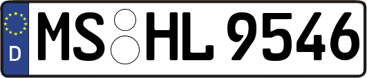 MS-HL9546