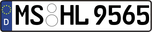 MS-HL9565