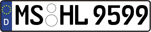 MS-HL9599