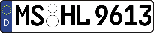 MS-HL9613