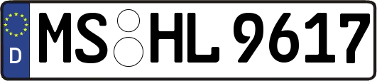 MS-HL9617