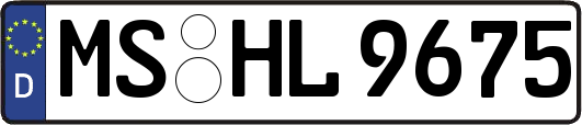 MS-HL9675