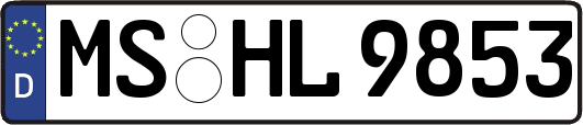 MS-HL9853