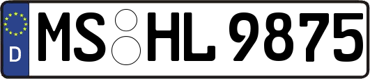 MS-HL9875