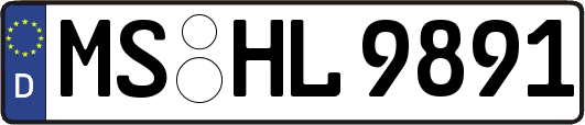 MS-HL9891