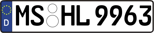 MS-HL9963