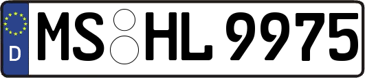 MS-HL9975