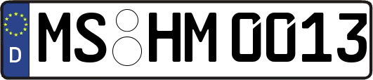 MS-HM0013