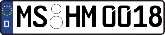 MS-HM0018