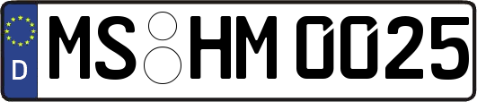 MS-HM0025