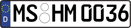 MS-HM0036