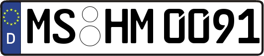 MS-HM0091