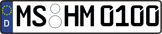 MS-HM0100