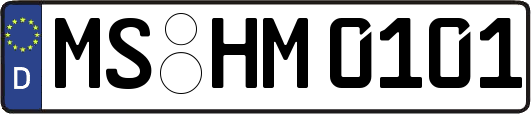 MS-HM0101