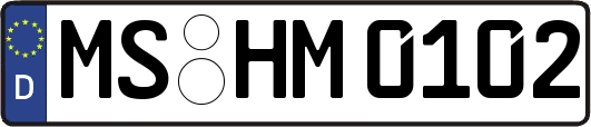 MS-HM0102