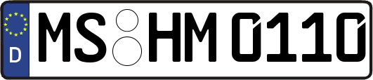 MS-HM0110