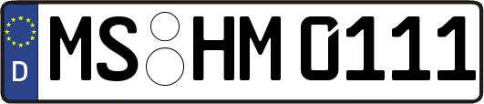 MS-HM0111