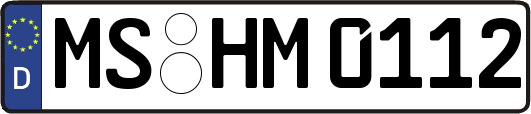 MS-HM0112