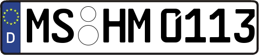 MS-HM0113