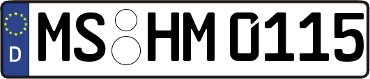 MS-HM0115