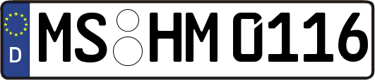 MS-HM0116