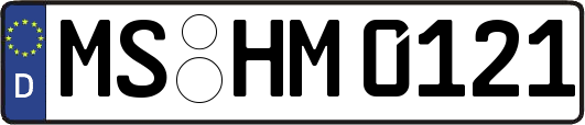 MS-HM0121