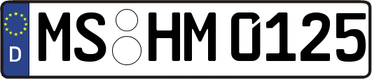 MS-HM0125