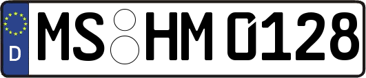 MS-HM0128
