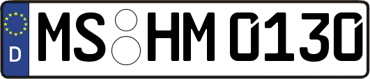 MS-HM0130