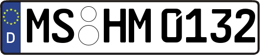 MS-HM0132