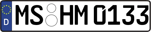 MS-HM0133