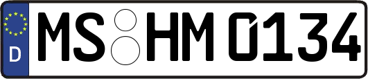 MS-HM0134