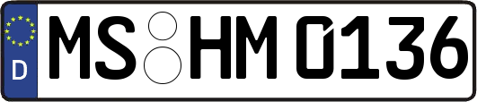 MS-HM0136