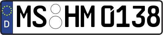 MS-HM0138