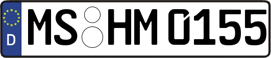 MS-HM0155