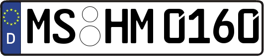 MS-HM0160