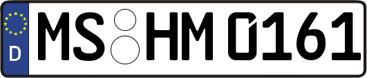 MS-HM0161