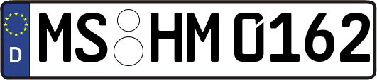 MS-HM0162