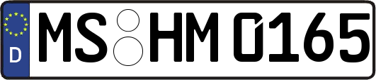 MS-HM0165